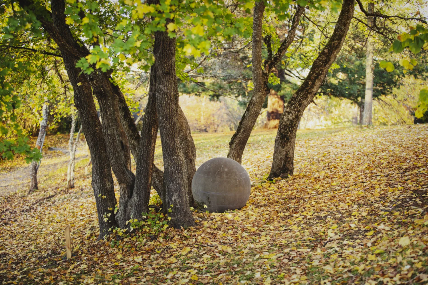 Klot av Sten Dunér