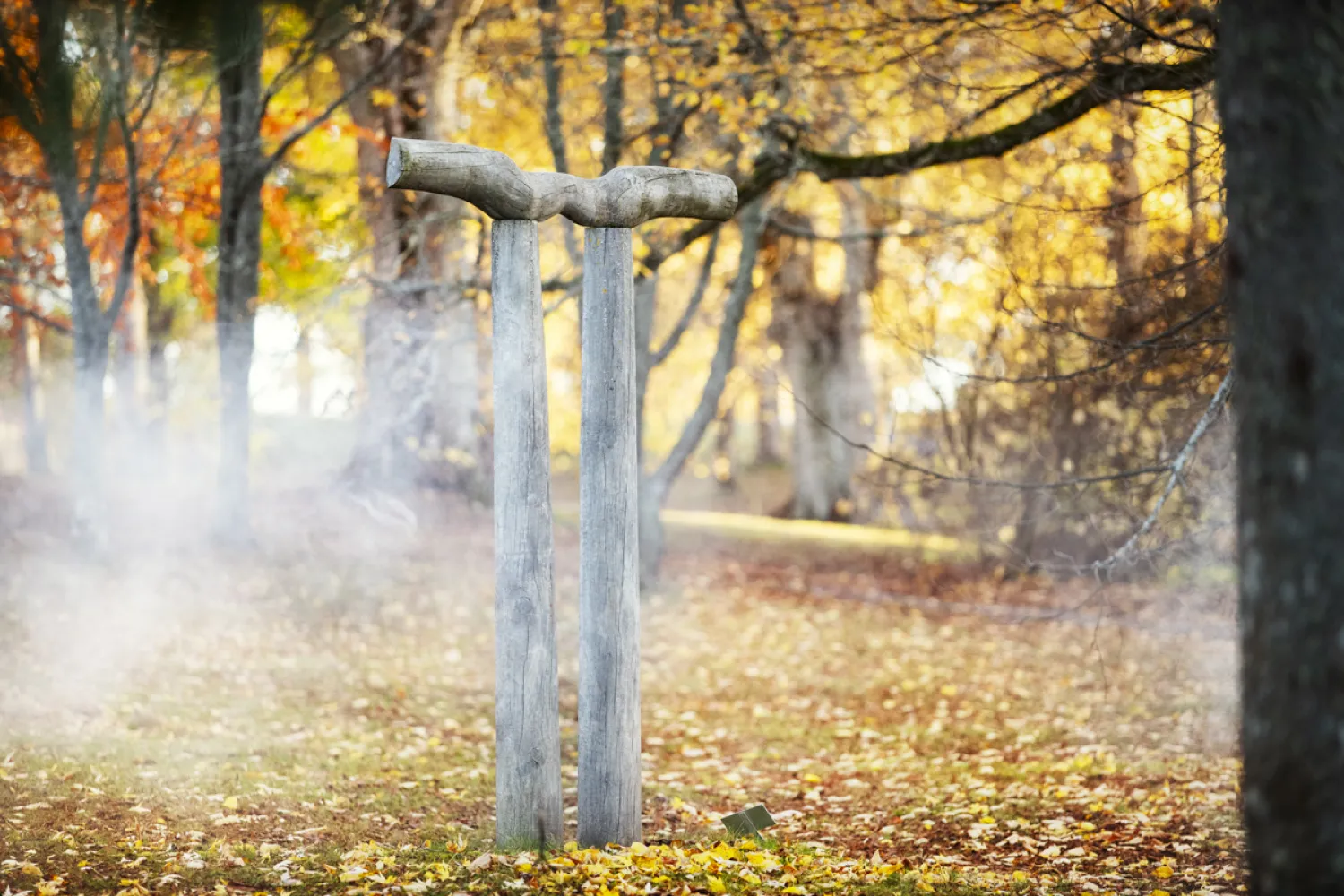 Torii av Hanns Karlewski