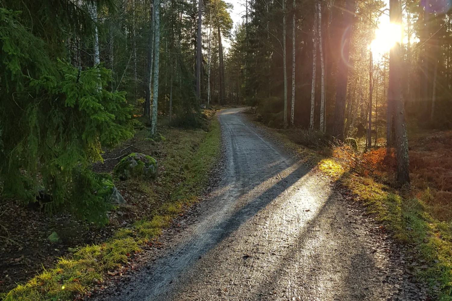 Motionsspår i Kallhäll