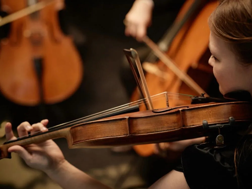 Violinist