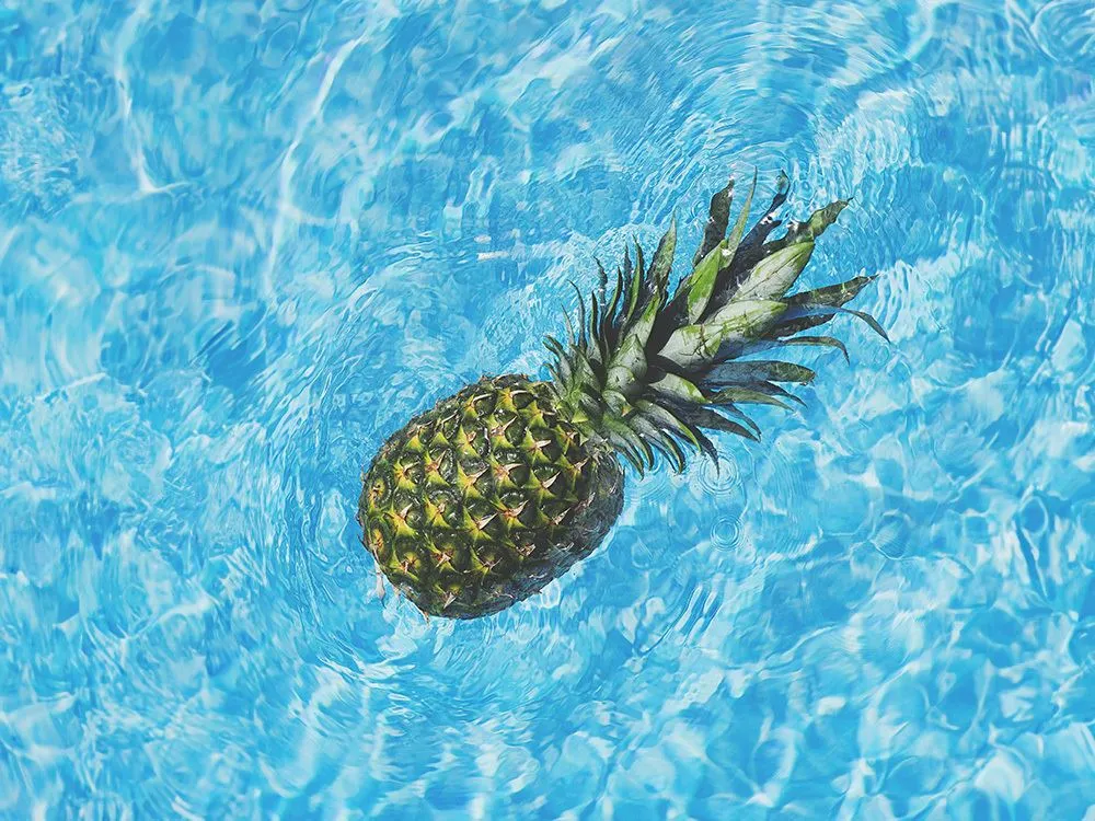Summer Vibes