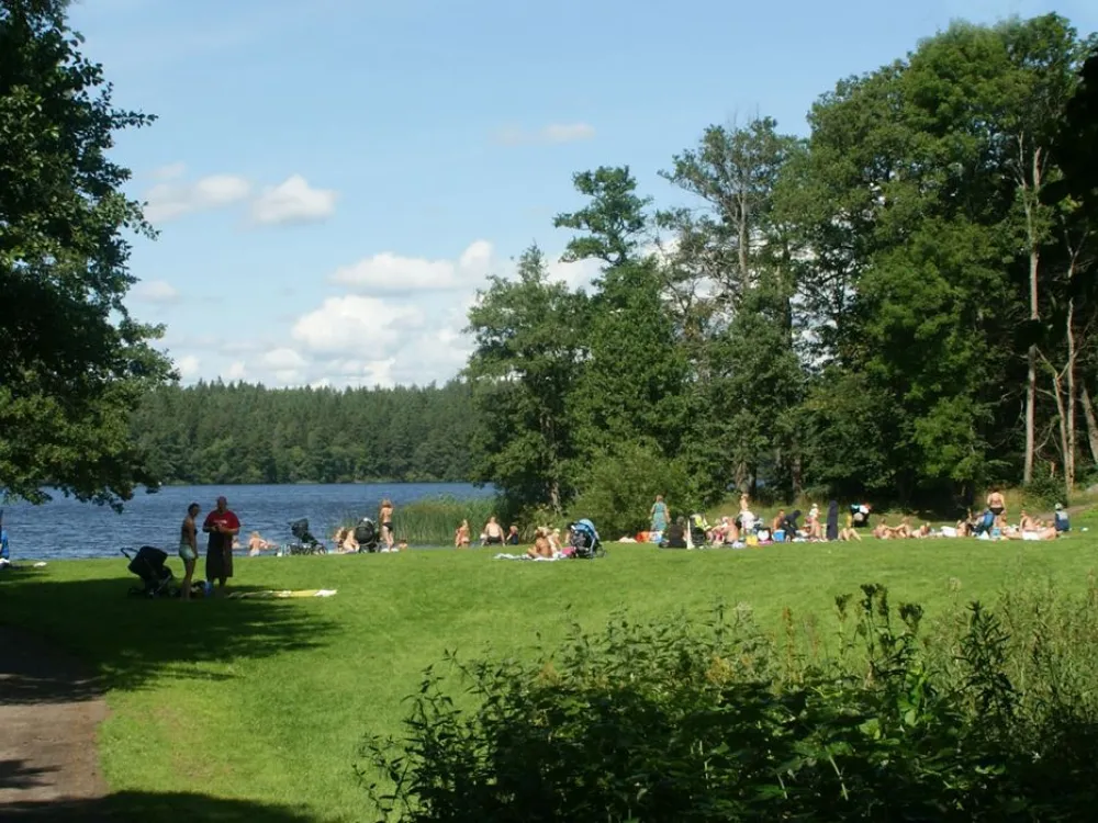 Gräsmatta och badstrand
