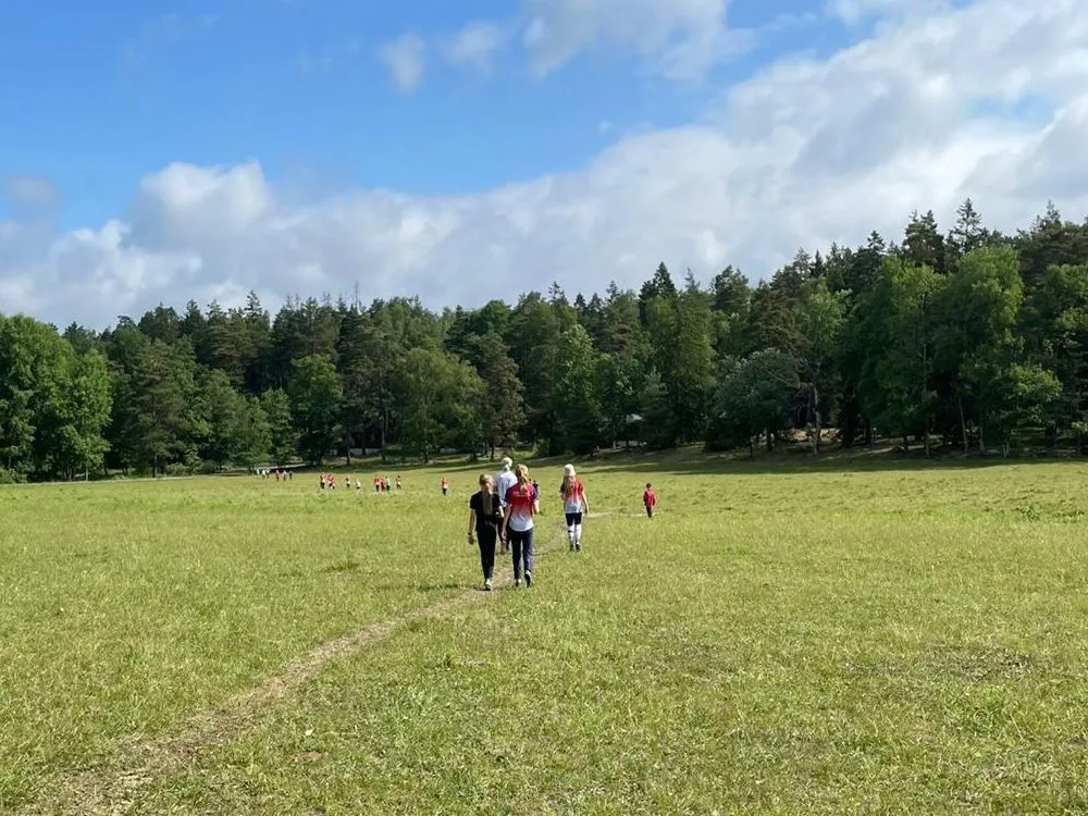 Människor ute på en äng, skog i bakgrunden